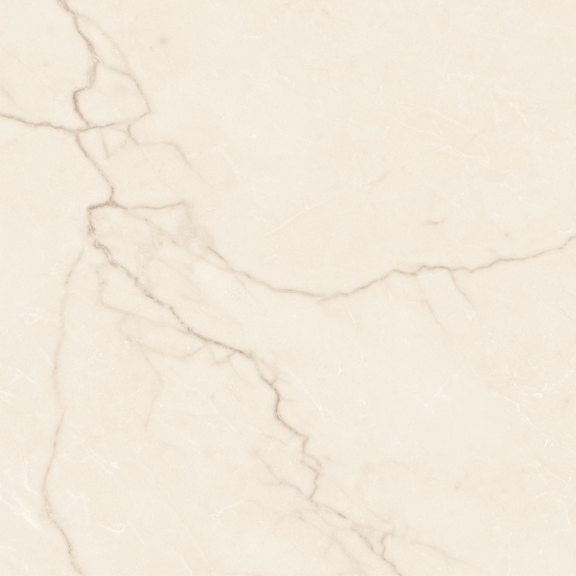 Avorio 24" x 24" creme mat