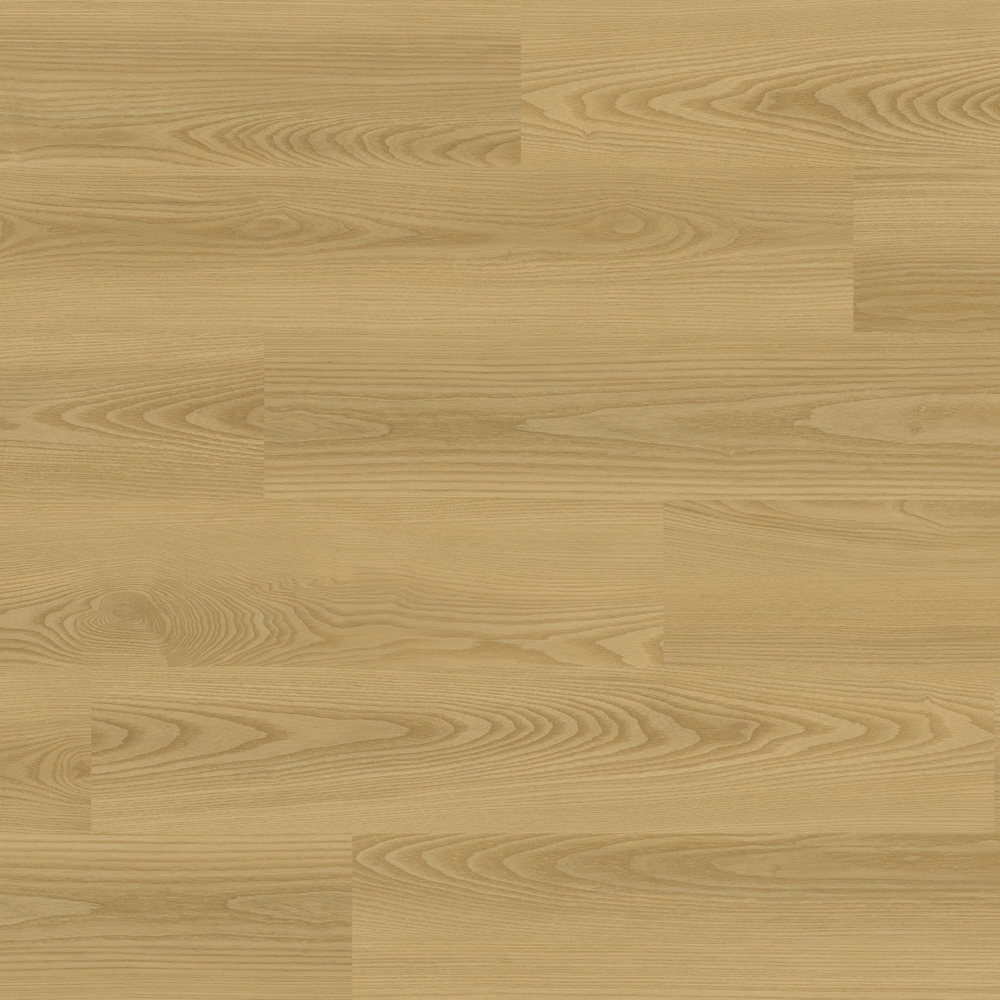 BYRON - CORVI - SWATCH