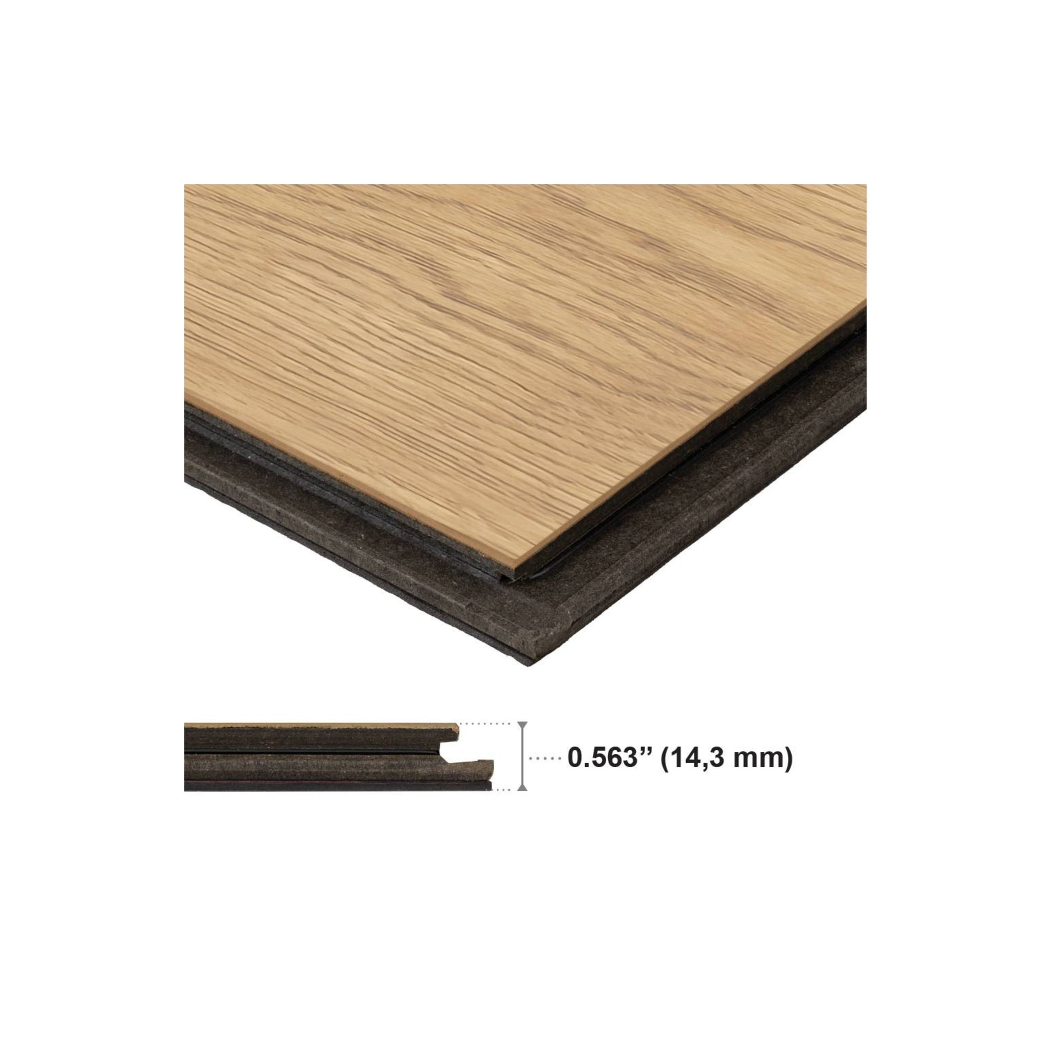 BIELSA - NAUTILUS - CLOSEUP