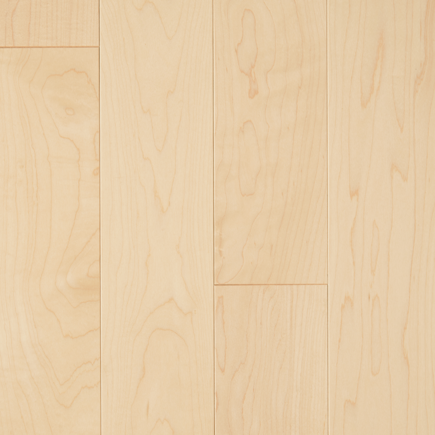 Érable Select TB19 - Naturel / Maple Select TB19 - Natural