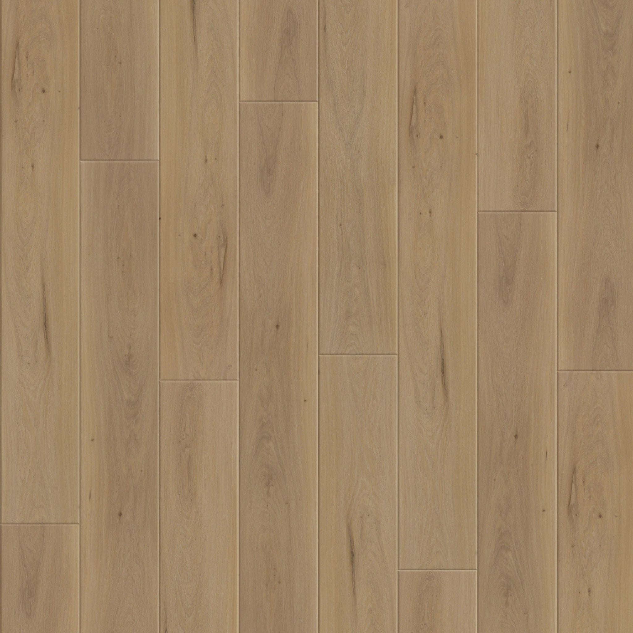 Hydrogen 7 9" x60" 7mm - Spc click i4f