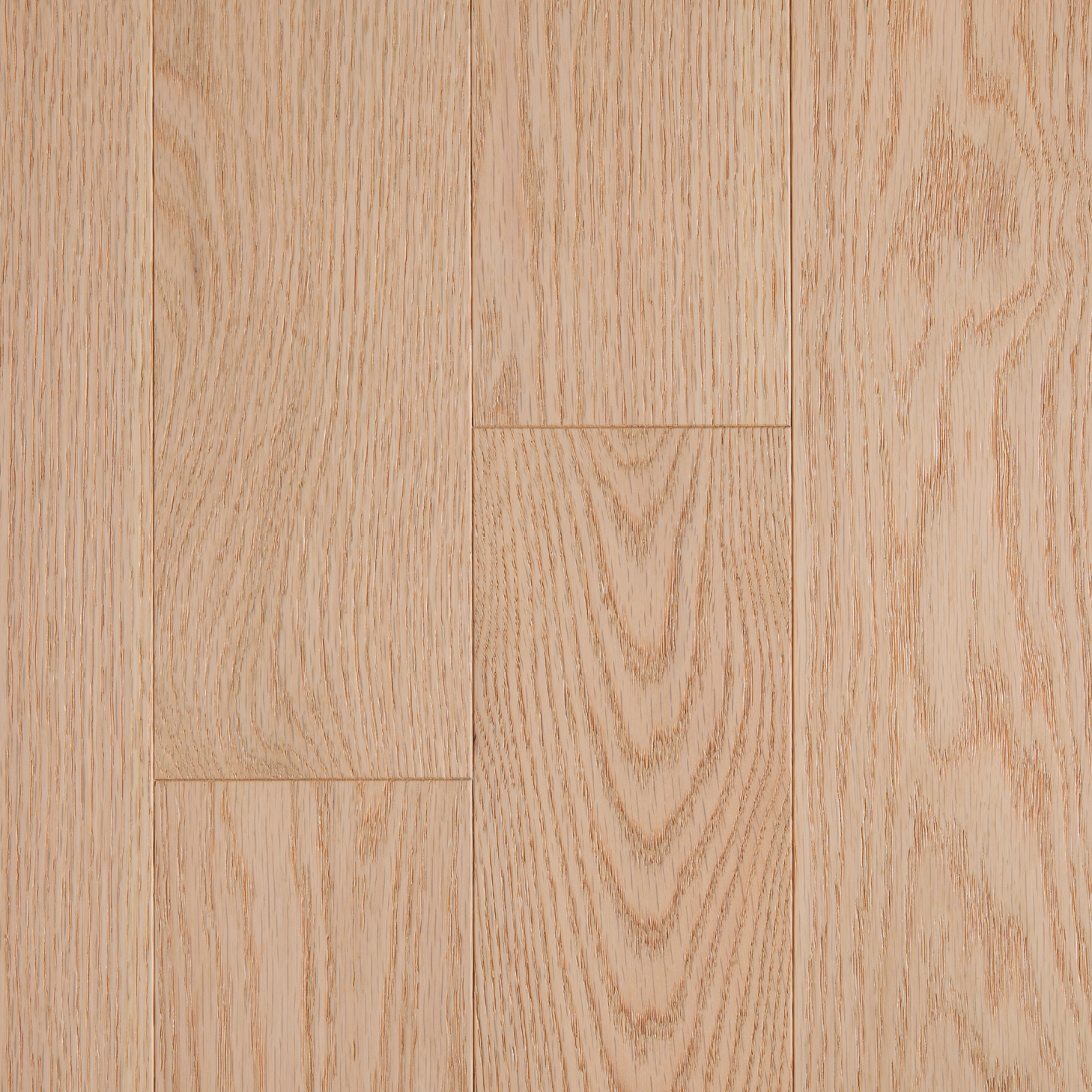 Chêne Rouge Select / Red Oak Select - Divine