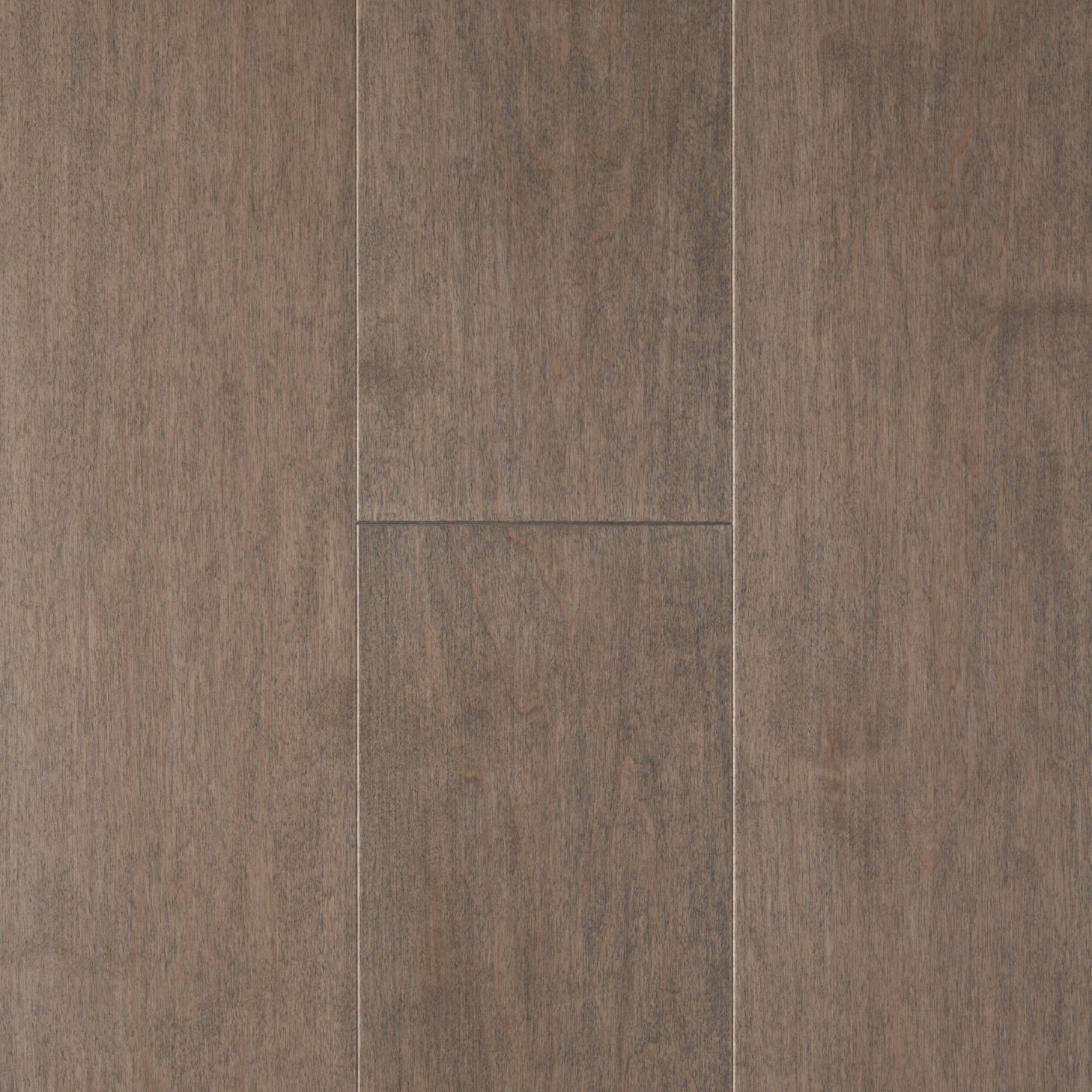 Érable Caractère TB19 / Maple Character TB 19 - Zenith