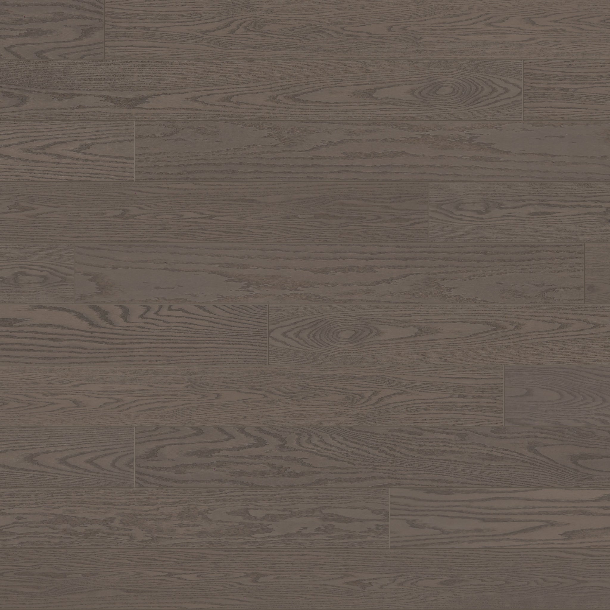 Nouveau 6 - Bavarian Palace - Swatch