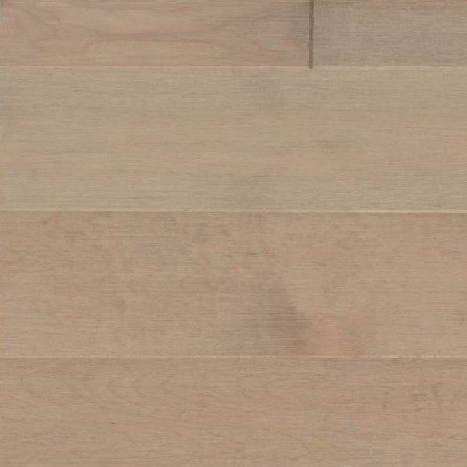 Érable V+ Flex 19 / Maple V+ Flex 19 - Galatro