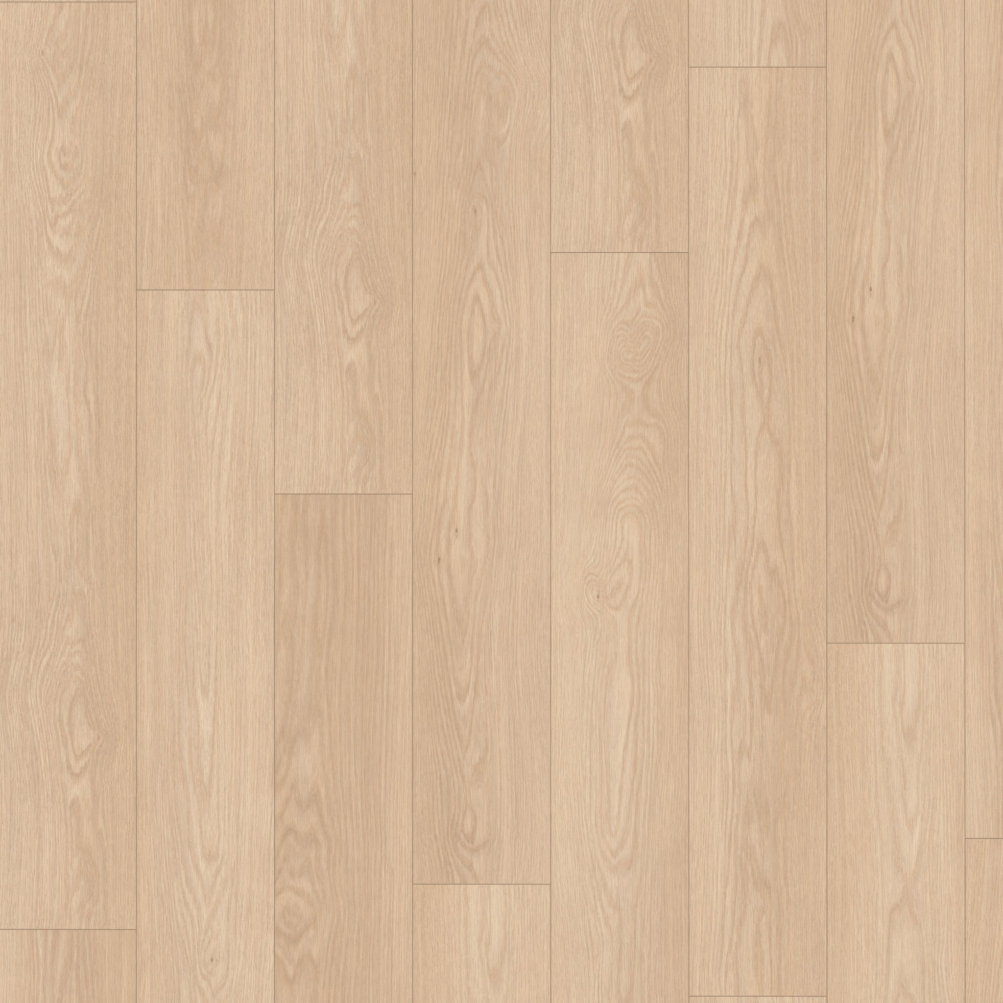 Bauhaus 7,60" x 50,87" 12mm - Ac5