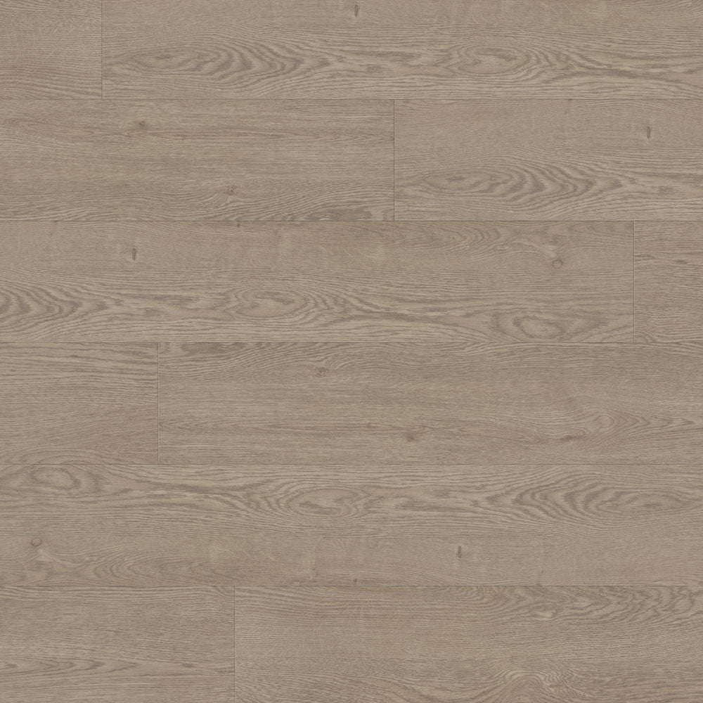 Belfast Xtra - Hodgkin Xtra