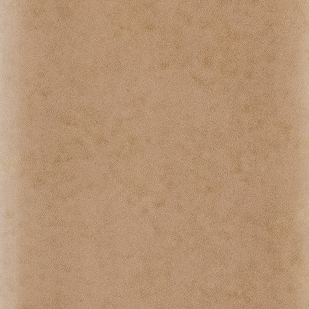 Skin - Biscuit Glossy