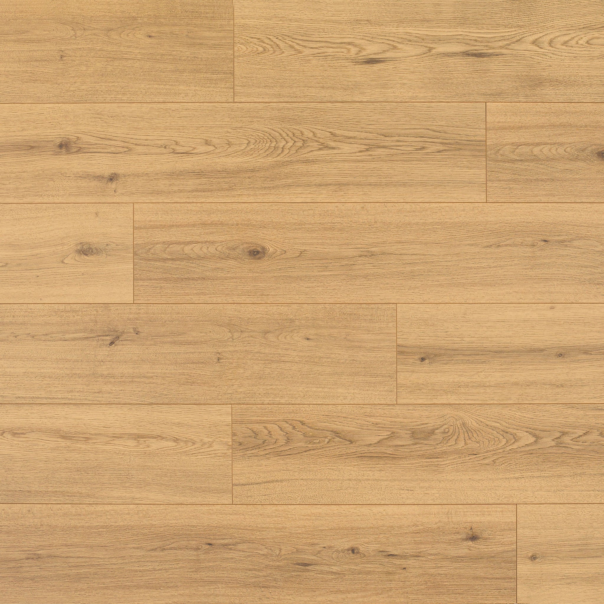 BARTUREON - Realp - Swatch