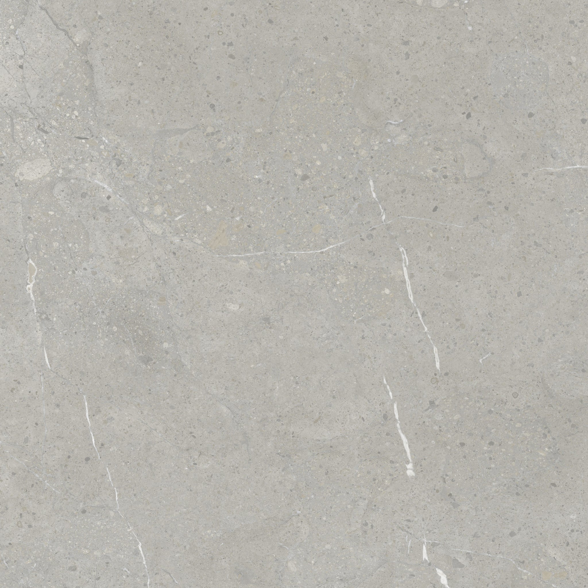 Planchette de Vinyle Silent Liberty - Swatch 2L07