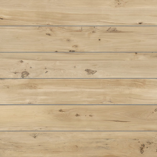 BARRICA - HONEY - SWATCH