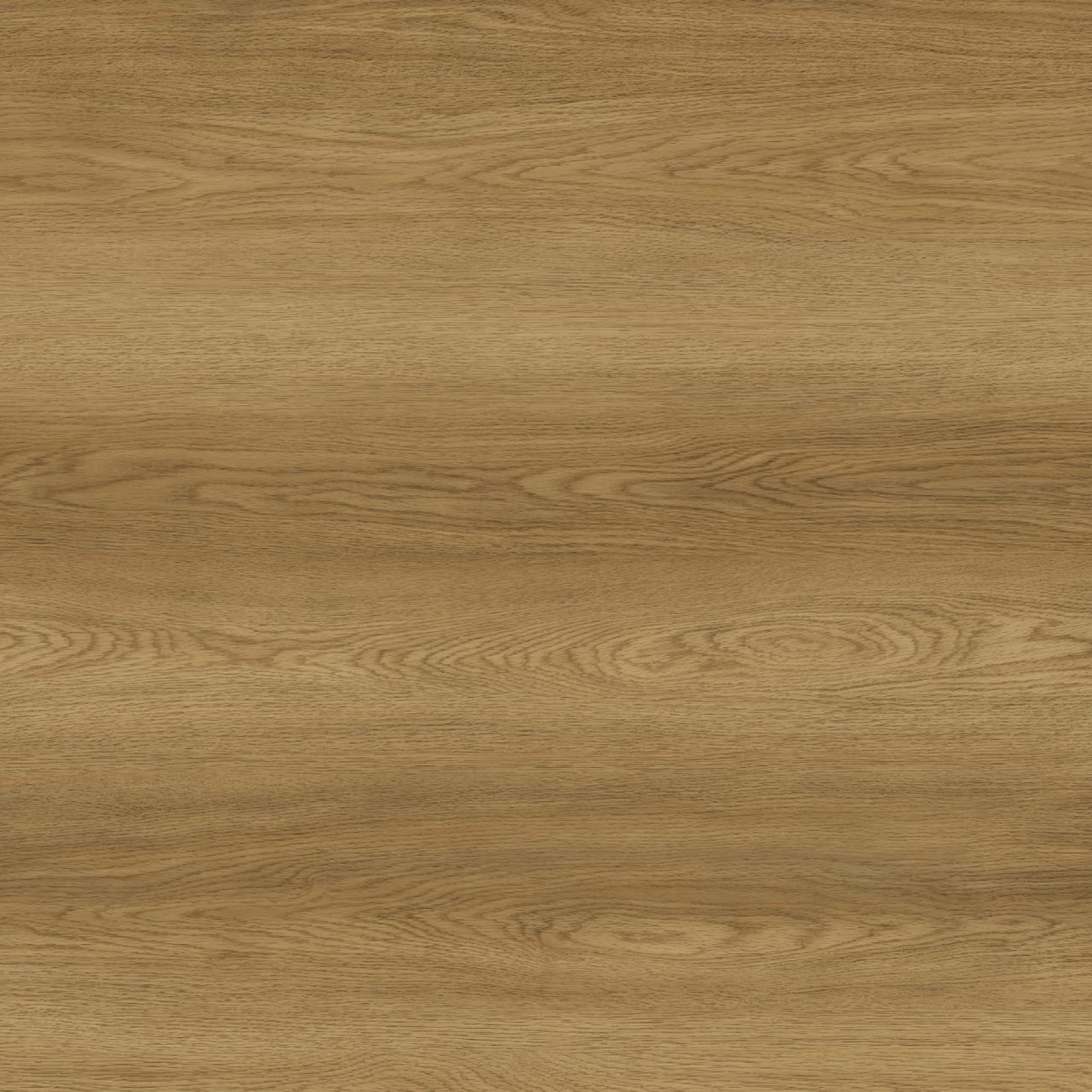 BELIZE - ASPEN - SWATCH