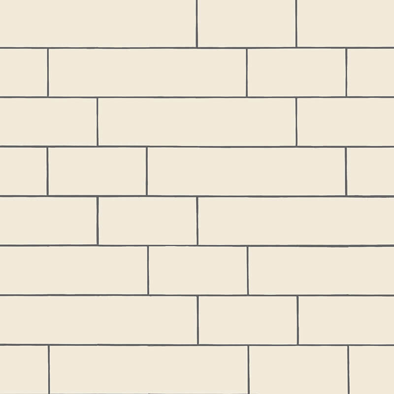 LISO - HUESO - SWATCH