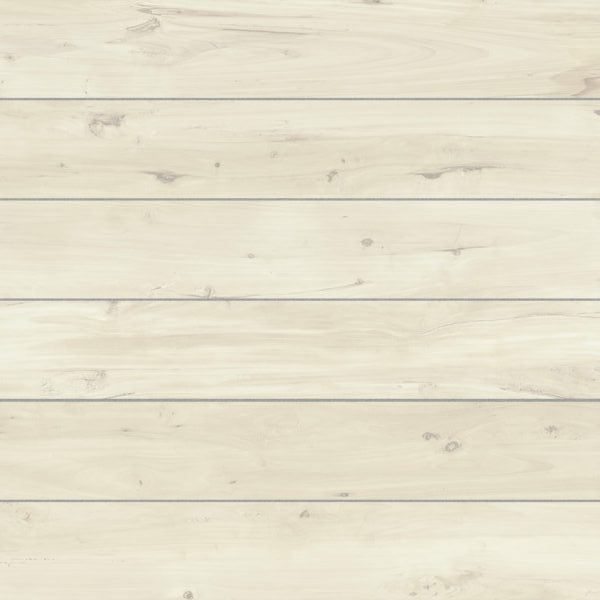 BARRICA - BONE - SWATCH