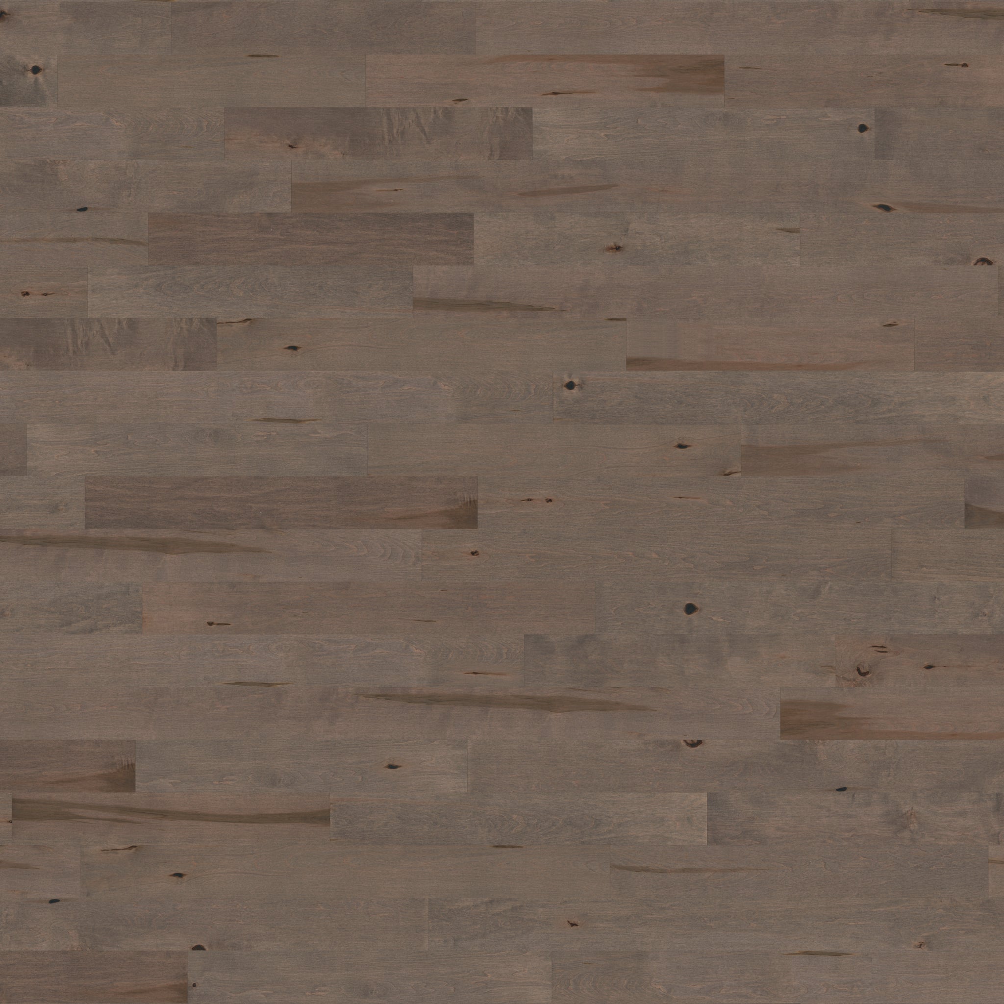 Grade Must - Maple Character Smooth Satin Zenith