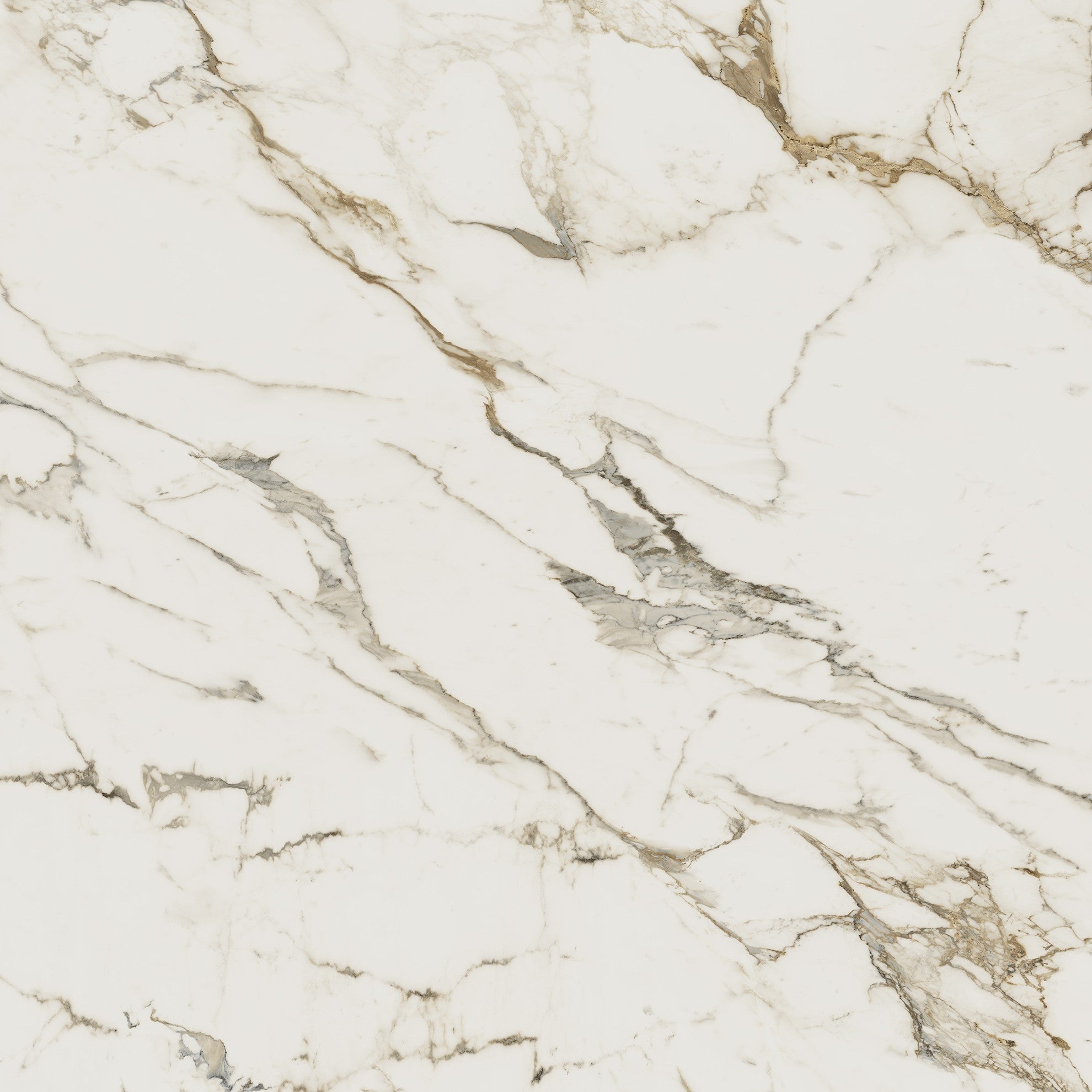 Pureflex 24x24 - Statuario Gold DTM513 - Swatch