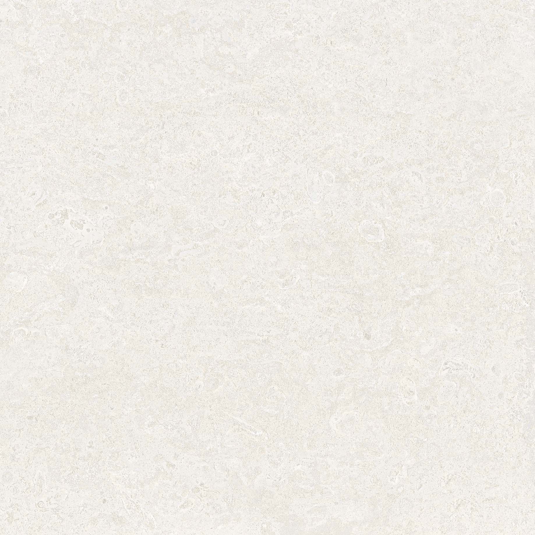 Coral stone 24" x 24"