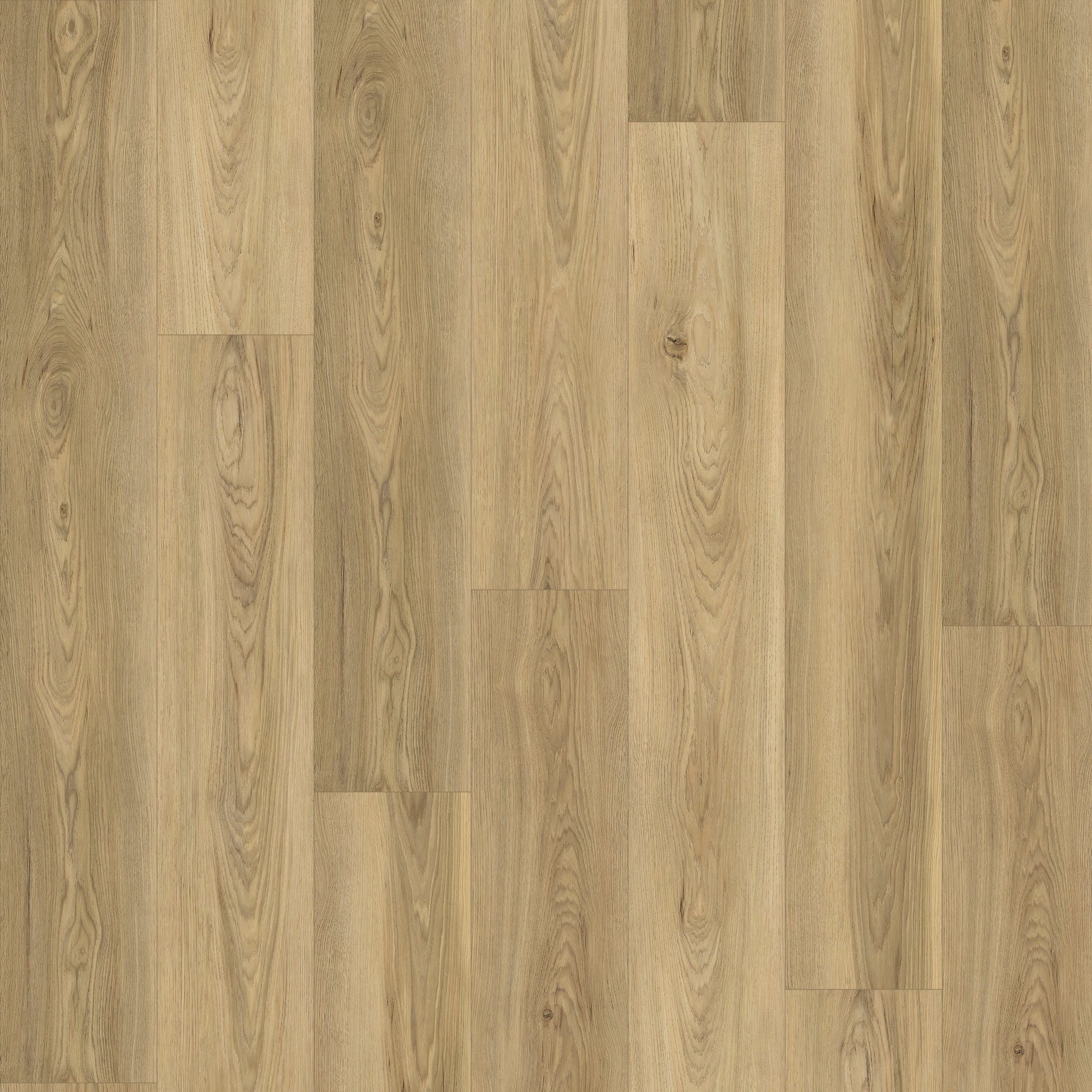 Topaz - Chêne / Oak