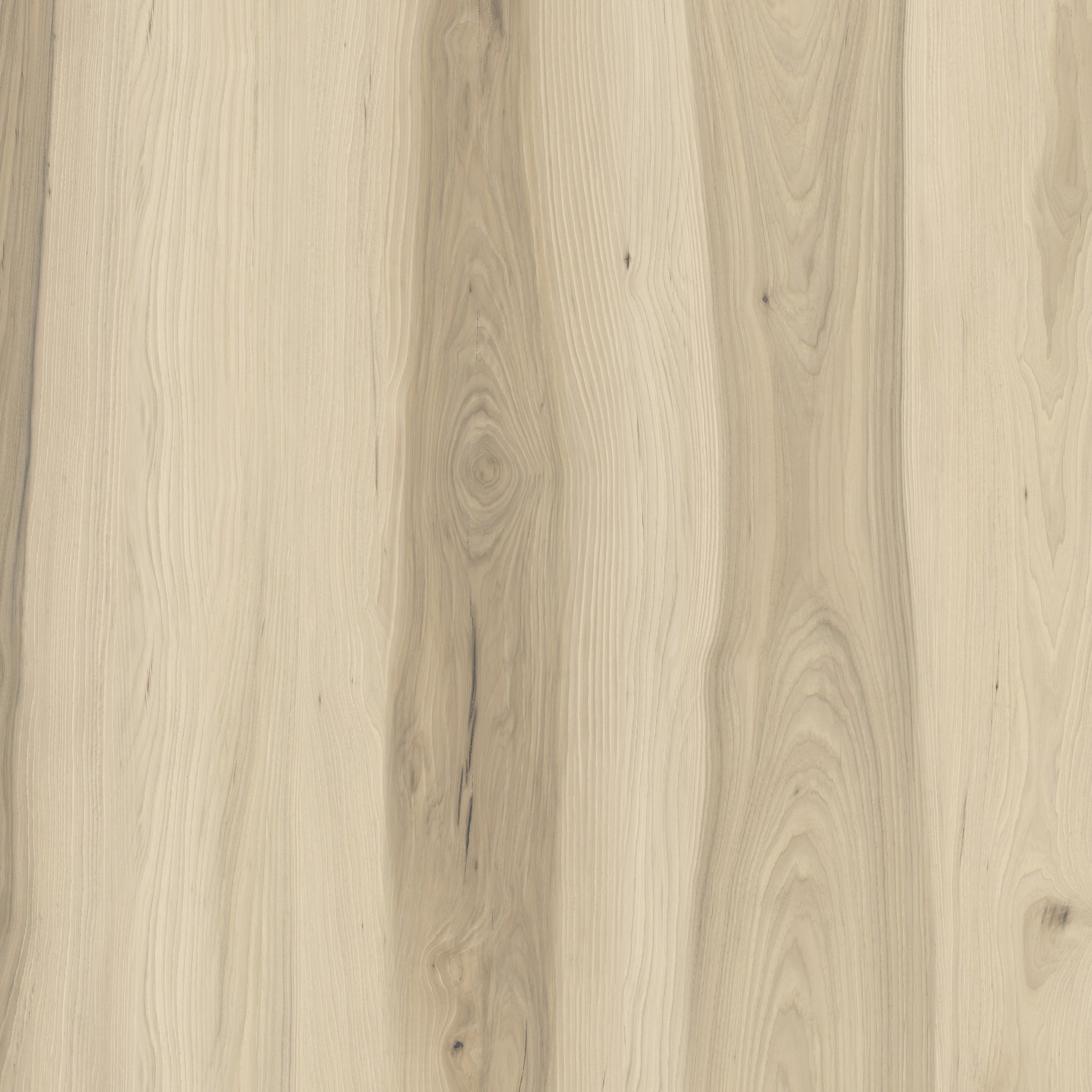 Silent Liberty L04BY - Swatch