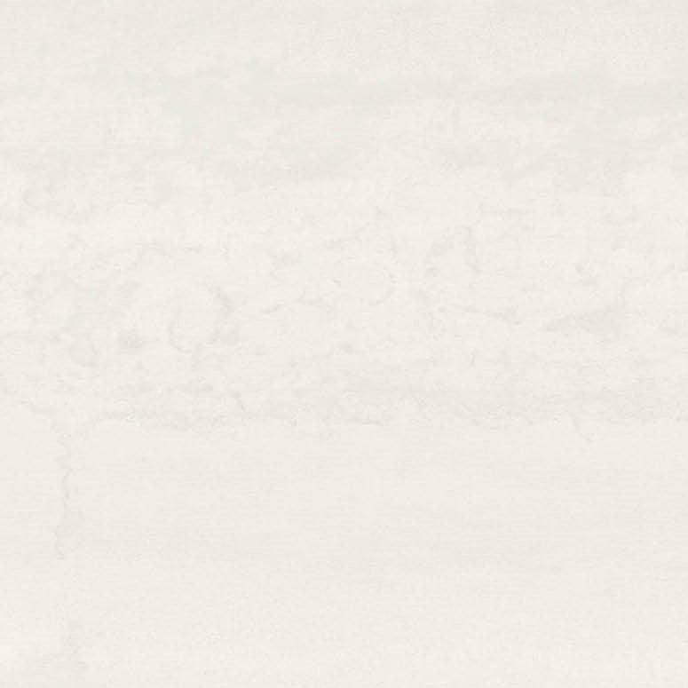 Metallica - Blanc Acier / Steel White