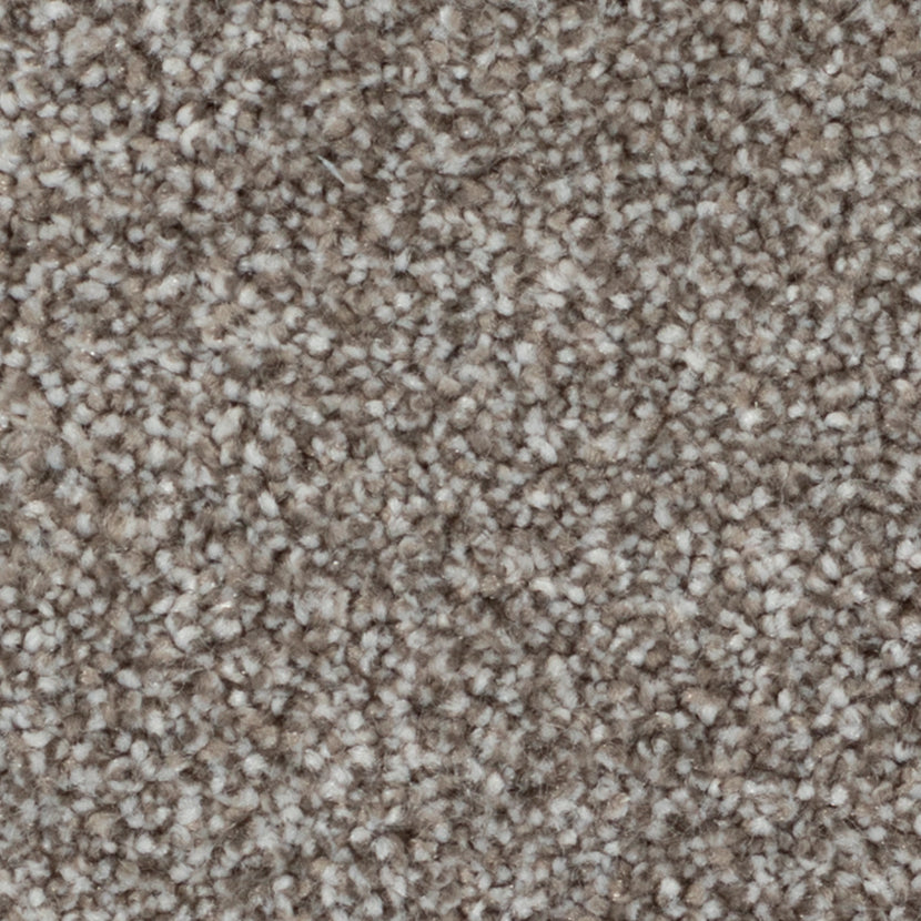 Bacall - Route enchantée / Enchanted road