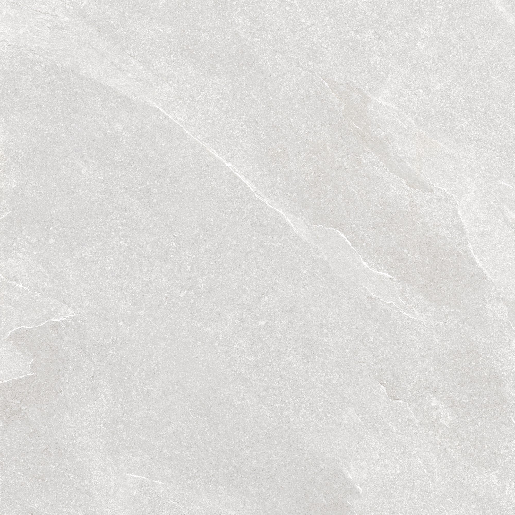 Ark - Gesso