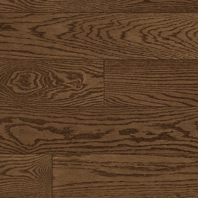 Chêne rouge V+ Max 19 / Red Oak V+ Max 19 - Amsterdam