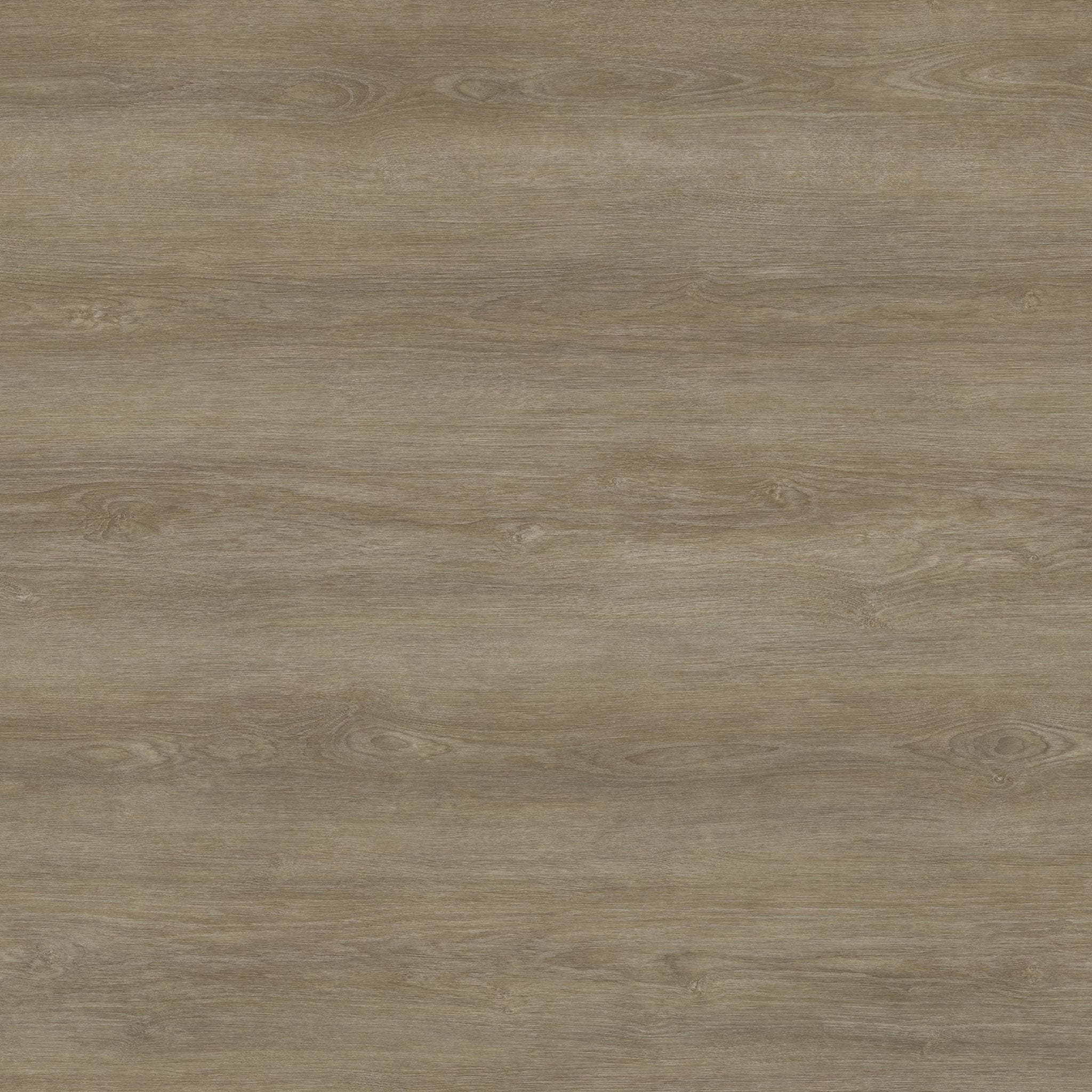 BELIZE - SKI - SWATCH