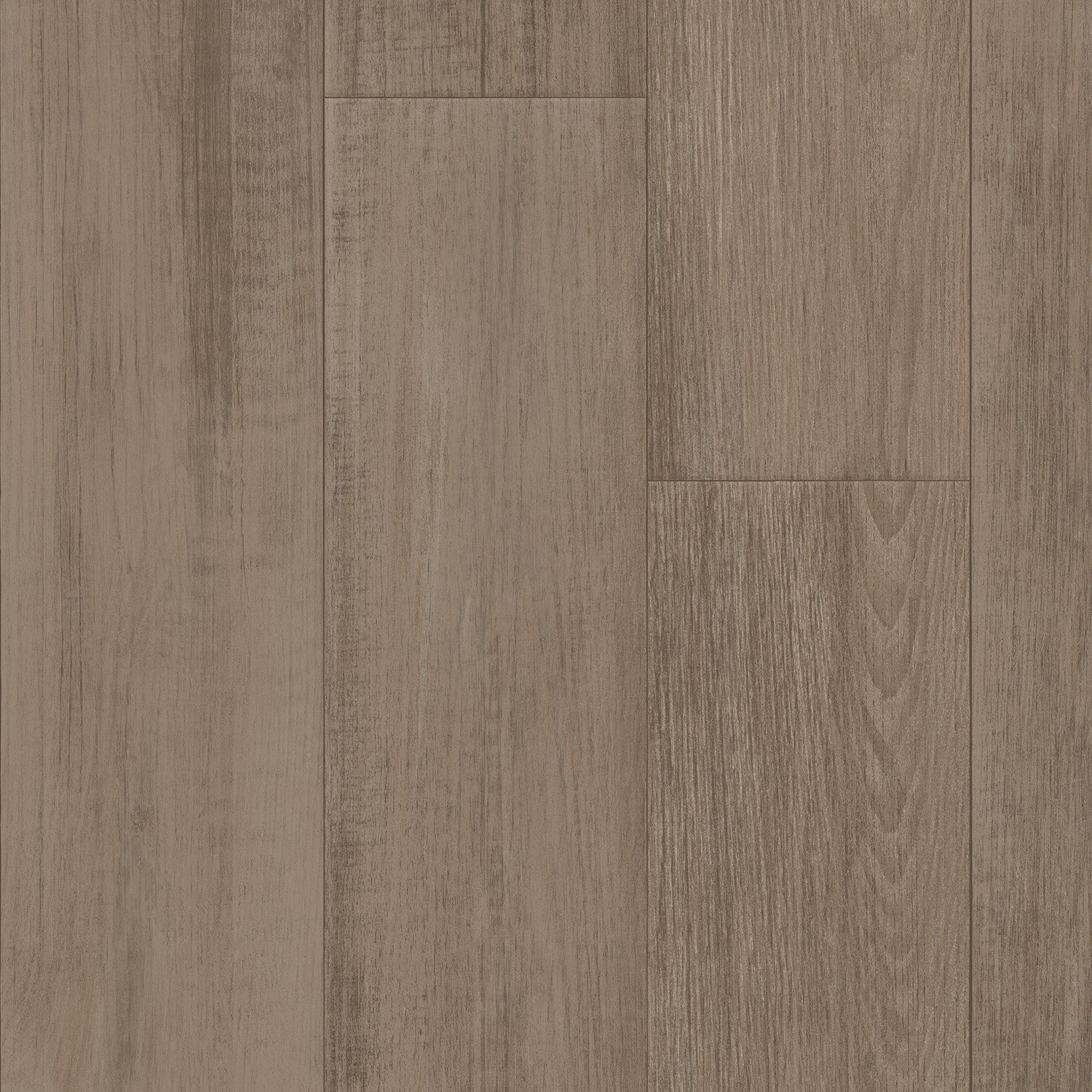 First Class - Falcon