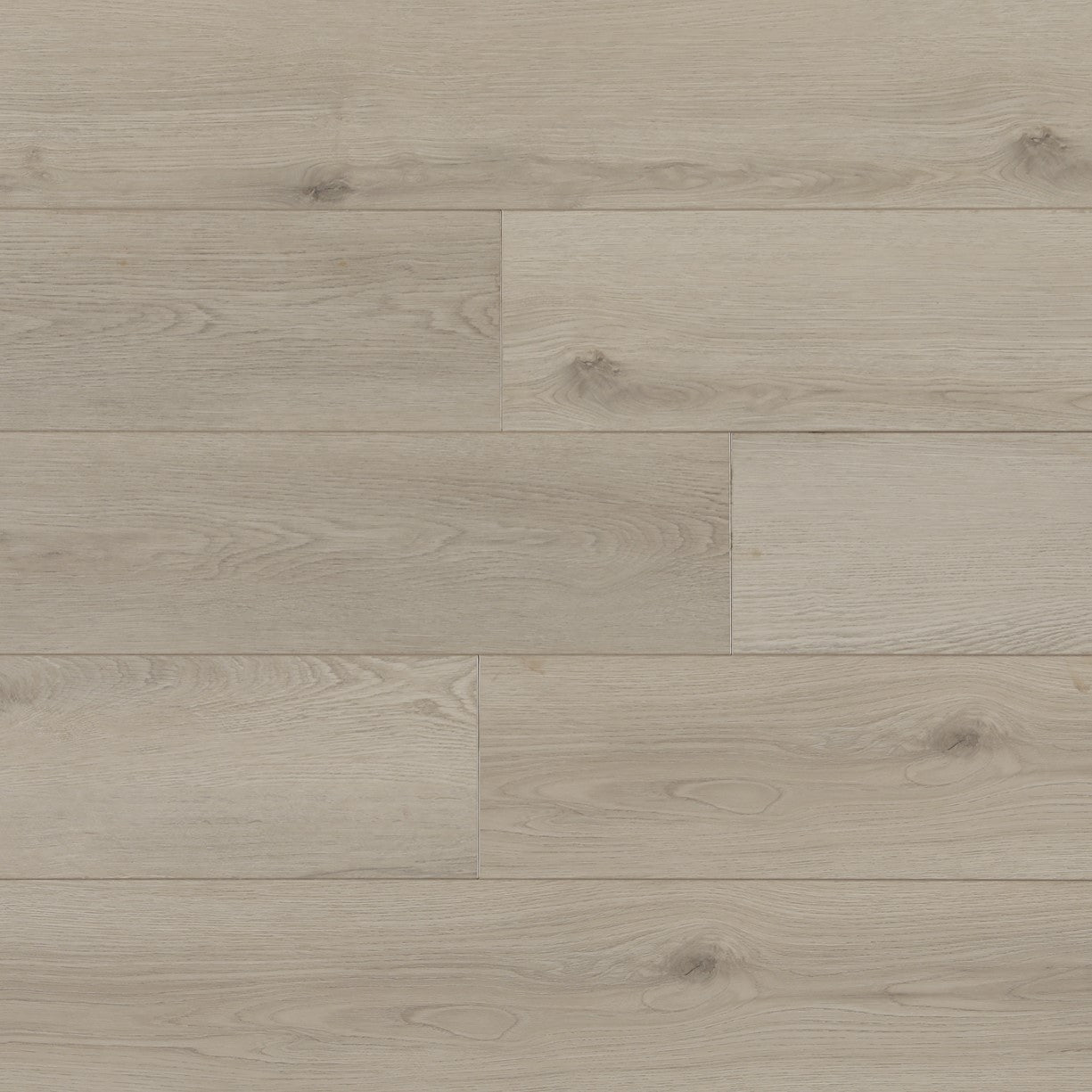 Brussel Edge - Gamma