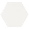 Hexagon - Blanc Lustré / Glossy White