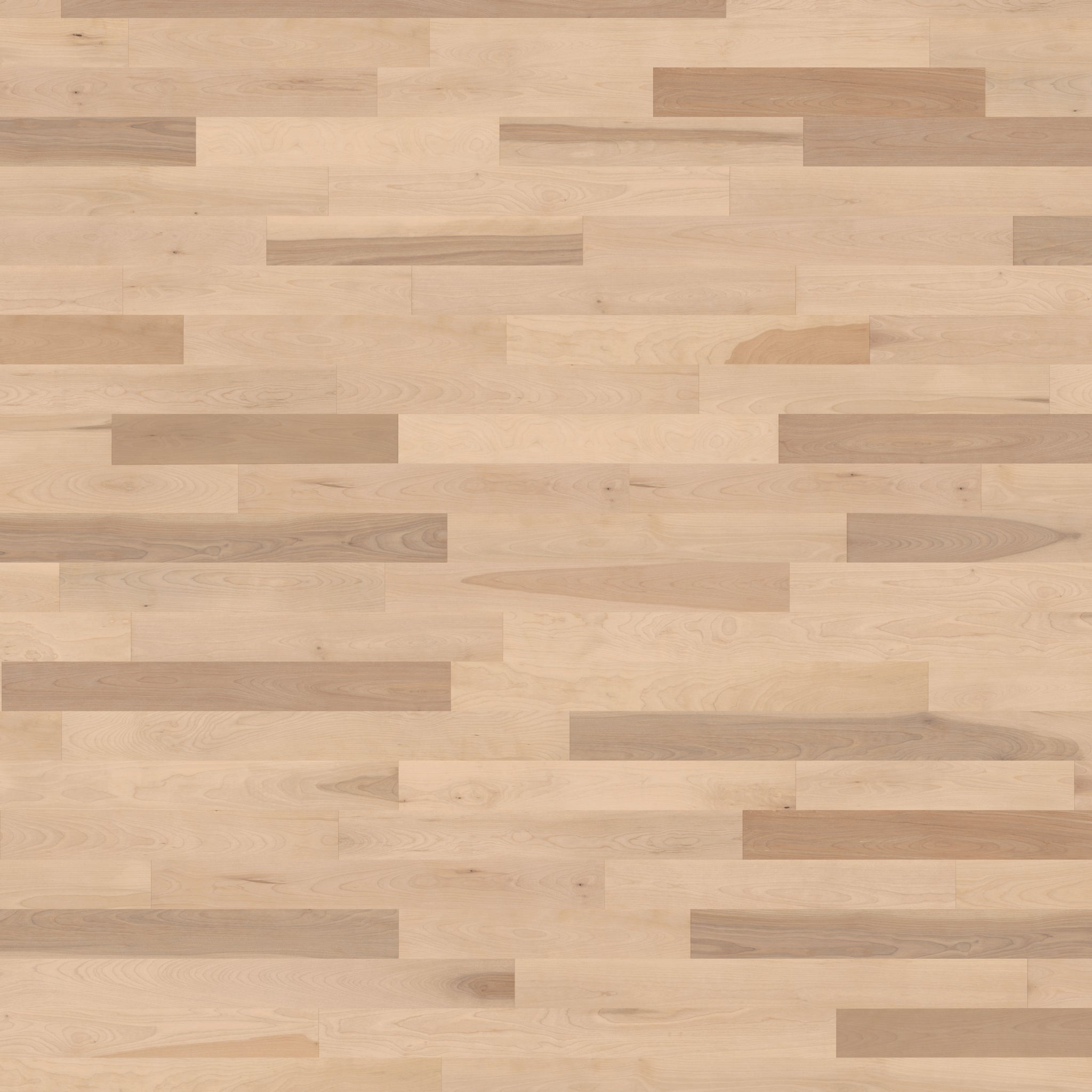 Birch Select Smooth Satin Ice - Swatch