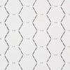 Blanc Arctique Hexagone / Arctic White Hexagon