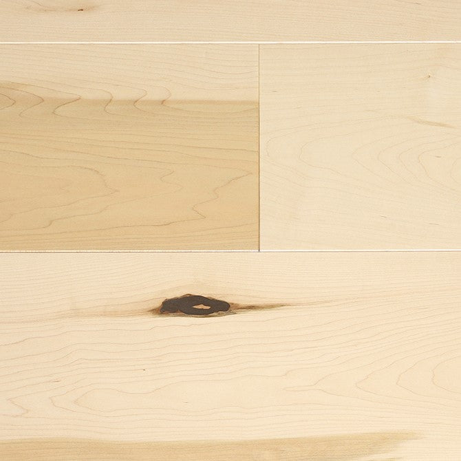 Érable Nuance Max 19 / Maple Nuance Max 19 - Raw