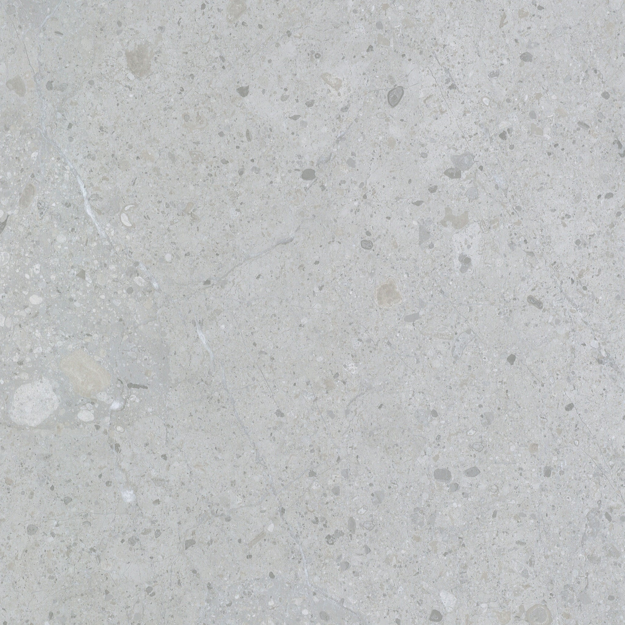 Planchette de Vinyle Silent Liberty - Swatch 2L07 tuile 2