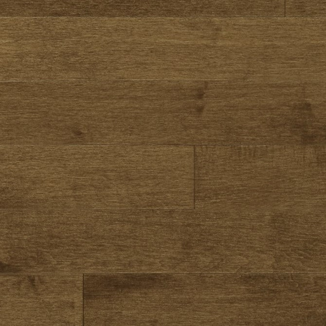 Érable Nuance Solidclassic - Mambo / Maple Shade Solidclassic - Mambo