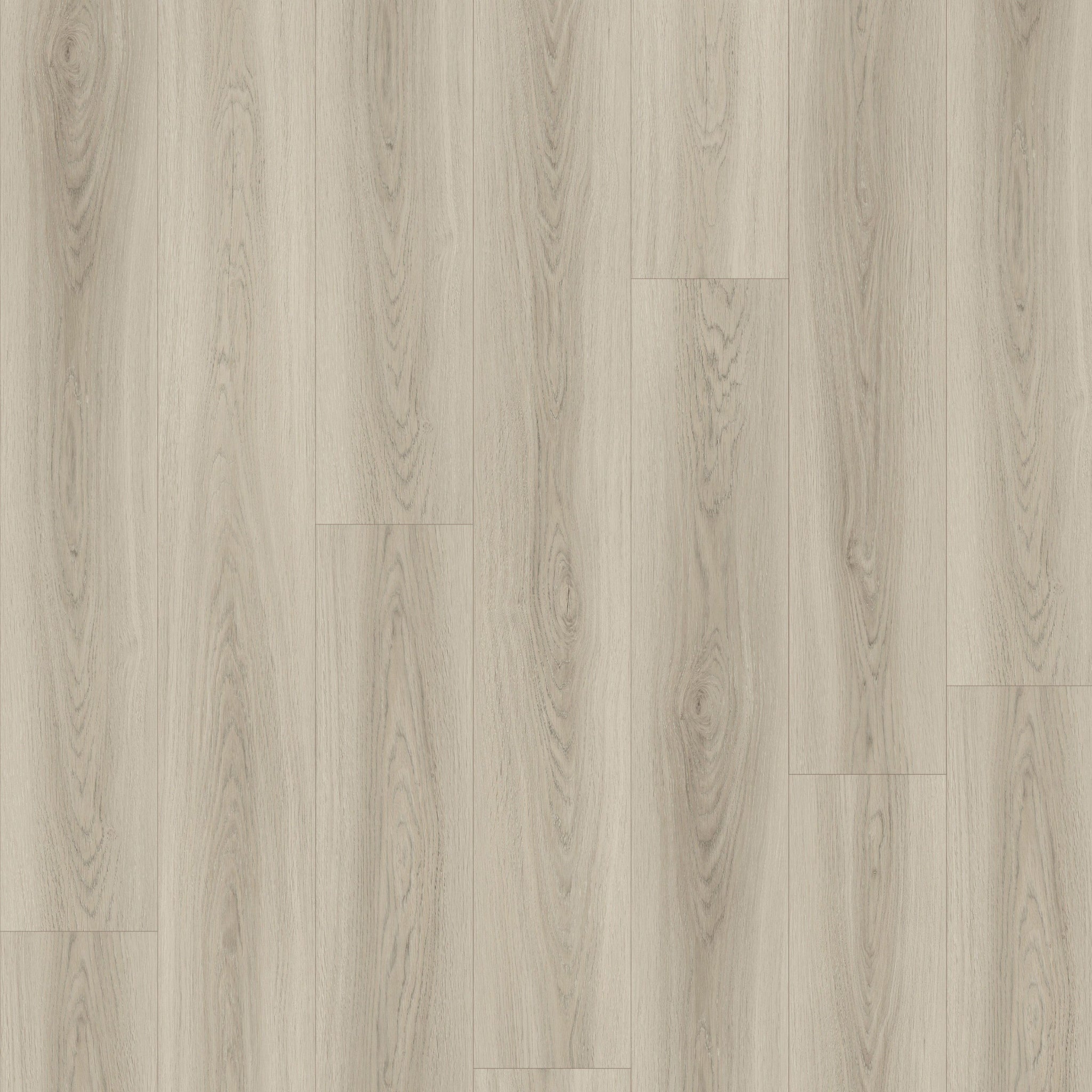 Quincy 7" x 48" 7mm - Clic