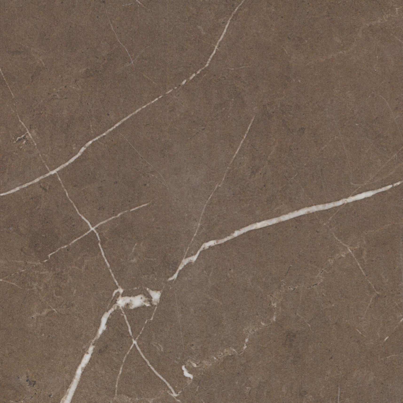 Eterna - brun Pulpis Poli / Pulpis Brown Polished