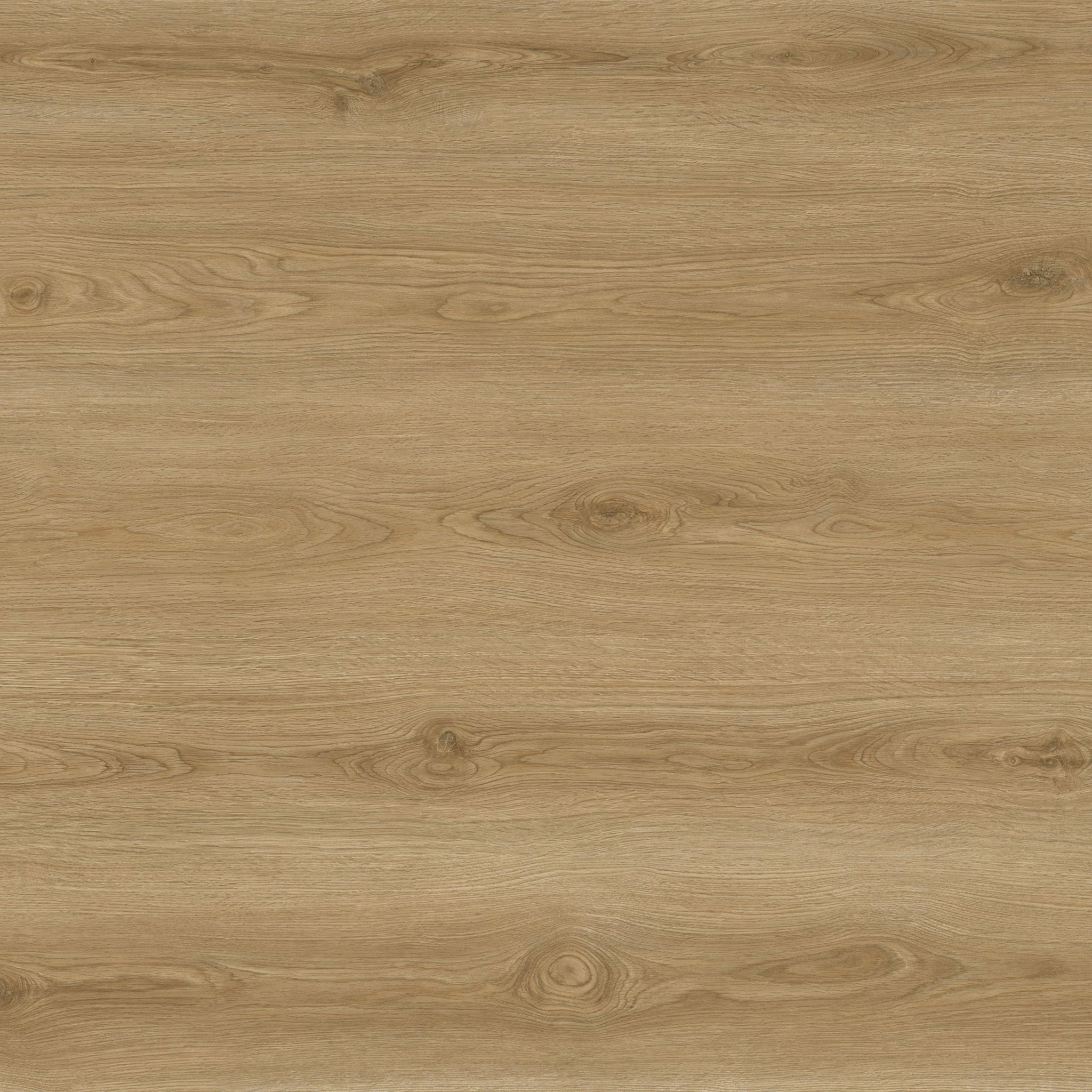 BELIZE - ODDA - SWATCH