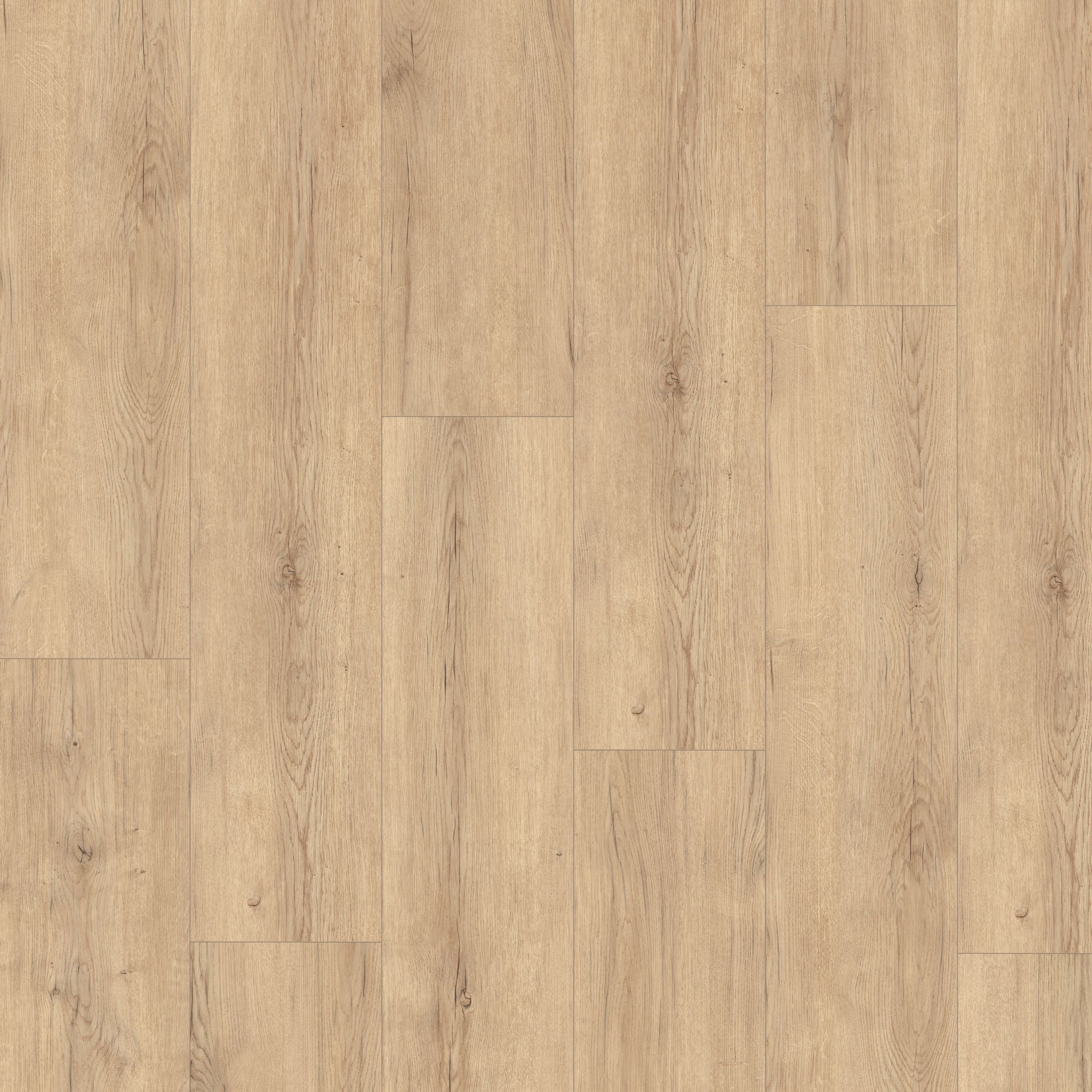 Bauhaus 7,60" x 50,87" 12mm - Ac5