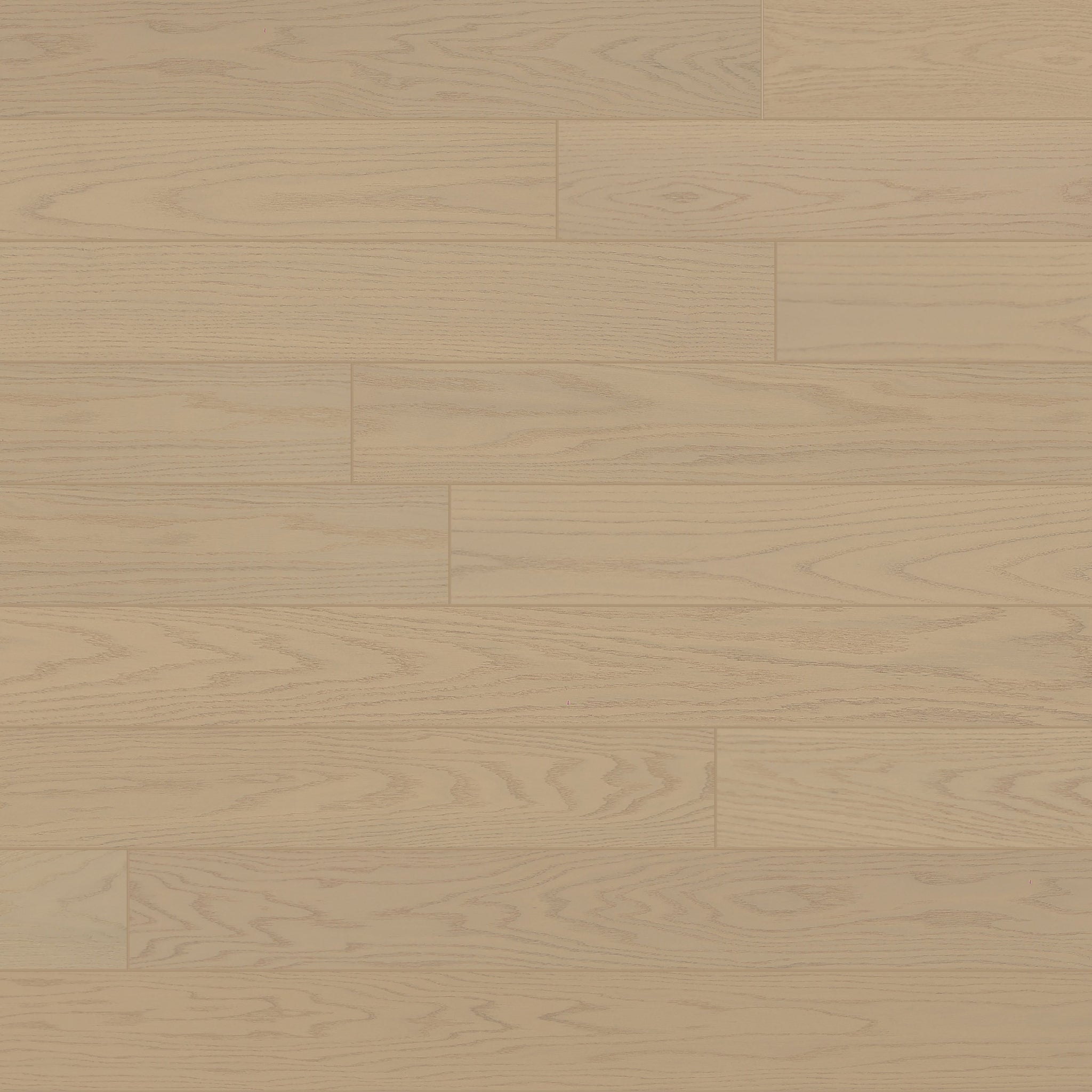 Nouveau 6 - Polynesian Grove - Kitchen