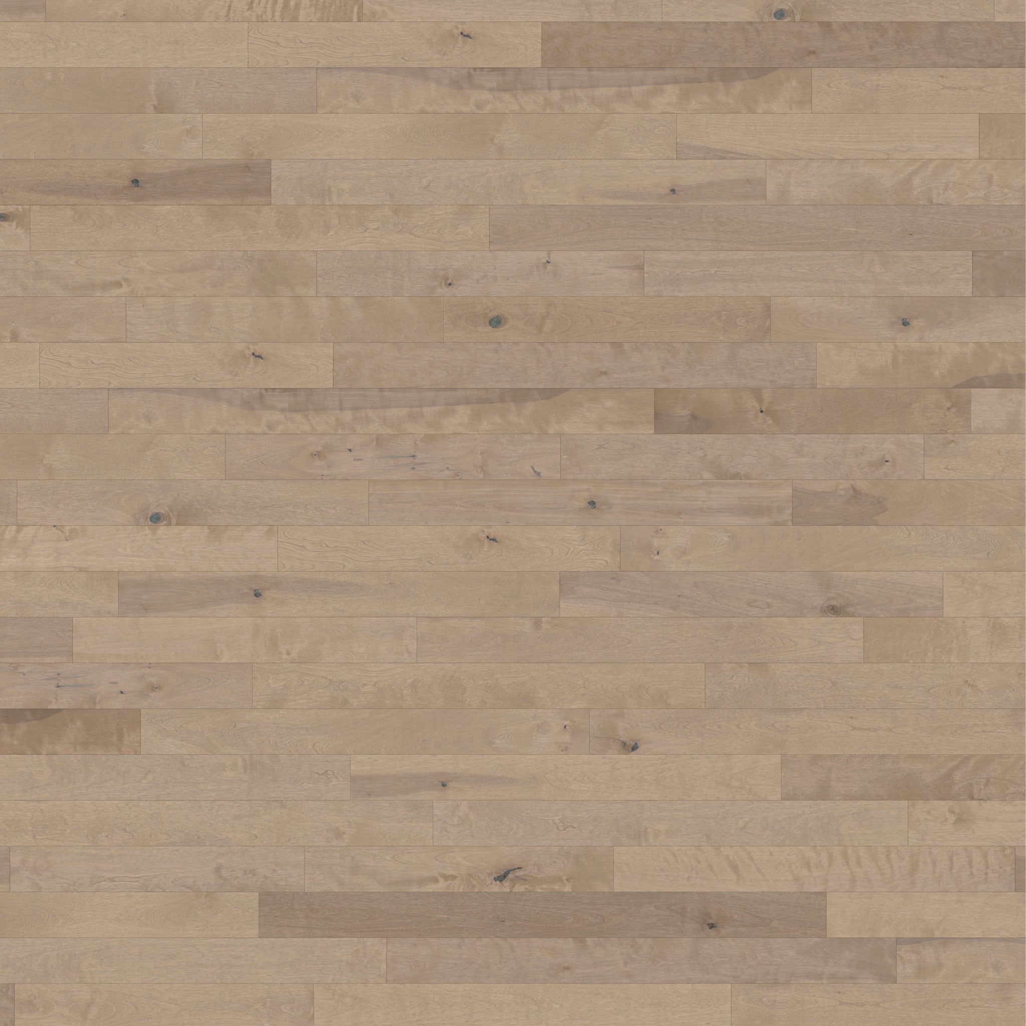 Birch Character Smooth Satin Oatmeal - Swatch