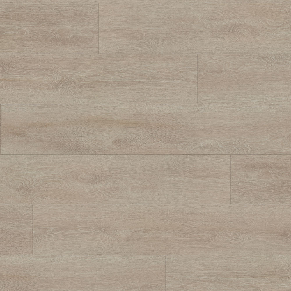 Belfast Xtra - Gutenberg Xtra