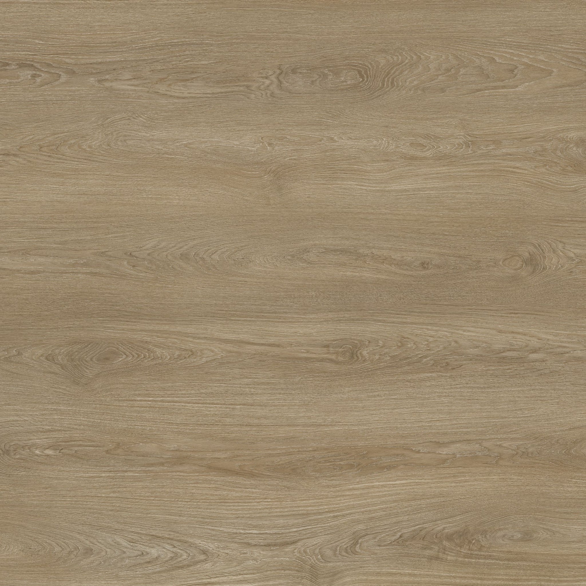 BELIZE - ALTA - SWATCH