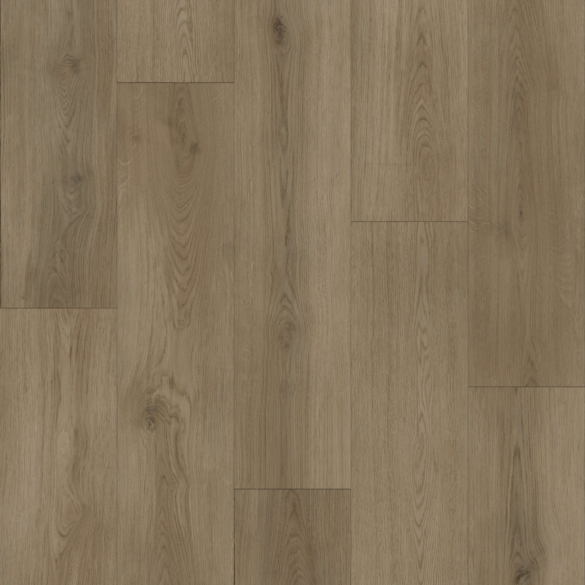 Bevo XL - Helka - Swatch