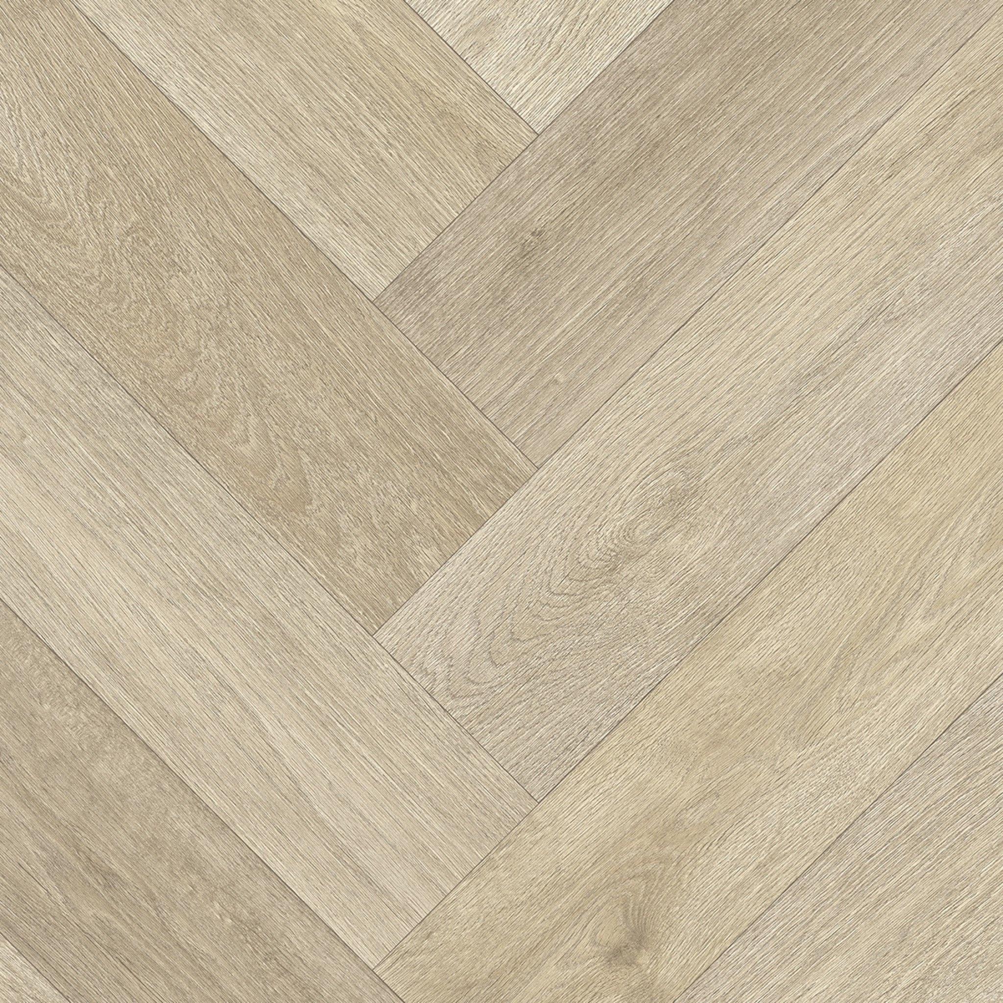 Tarzy - Patagonia T34