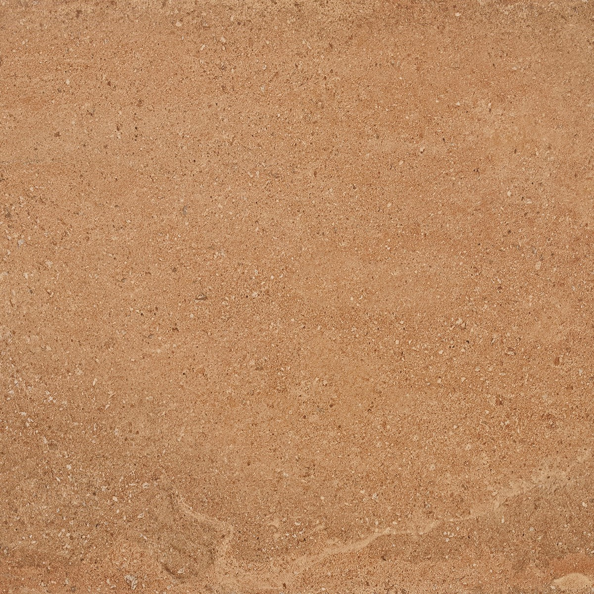 Céramique Terramar - Cotto