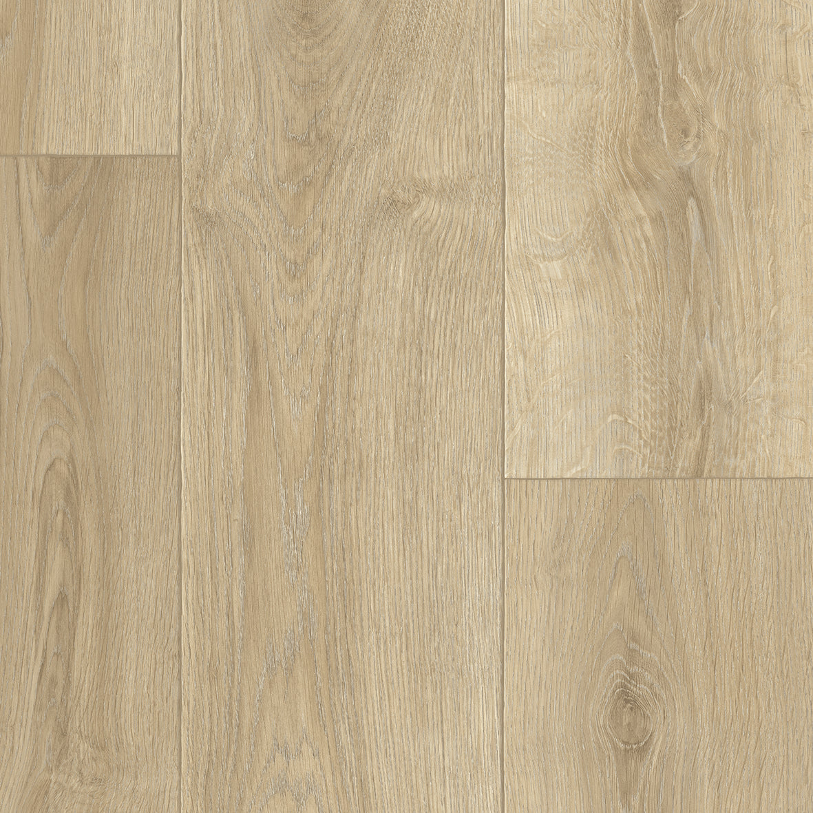 Tazilly - Cherbourg Oak 552