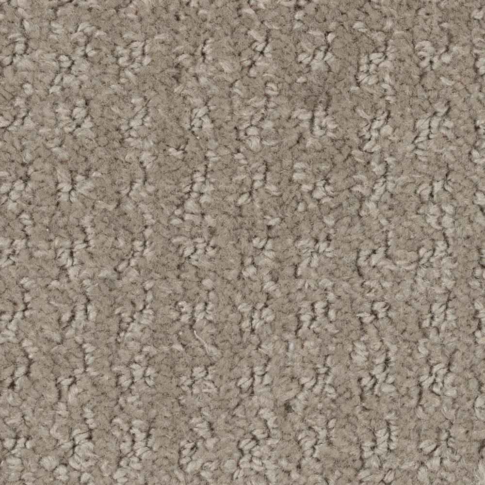 Burke - Sentier désertique / Desert path