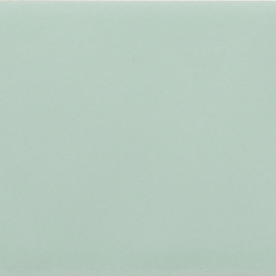 Costa Nova - Aloès / Aloe